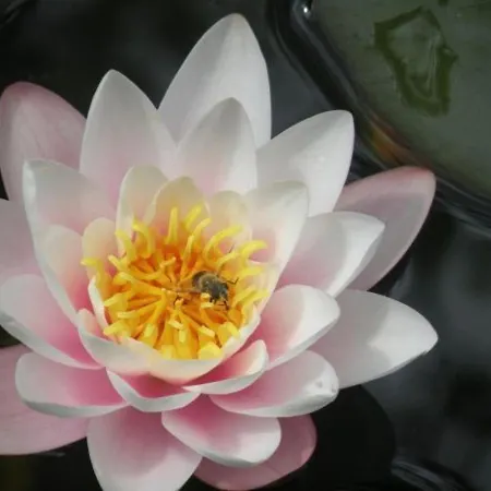 Holiday home Montagne Avec Spa, Sauna & Proche Pistes - - Fr-1-589-114