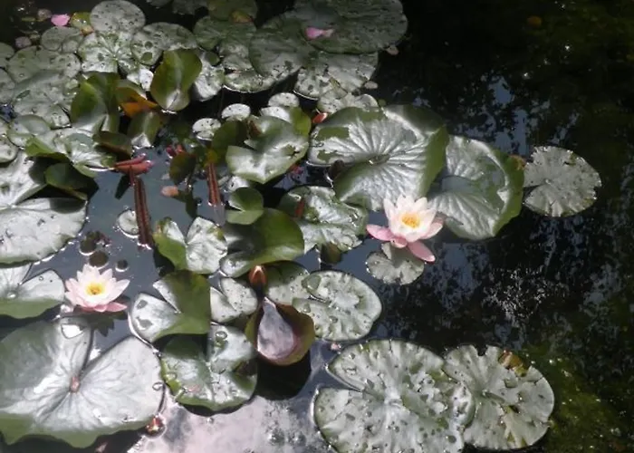 Prázdninový dům Montagne Avec Spa, Sauna & Proche Pistes - - Fr-1-589-114