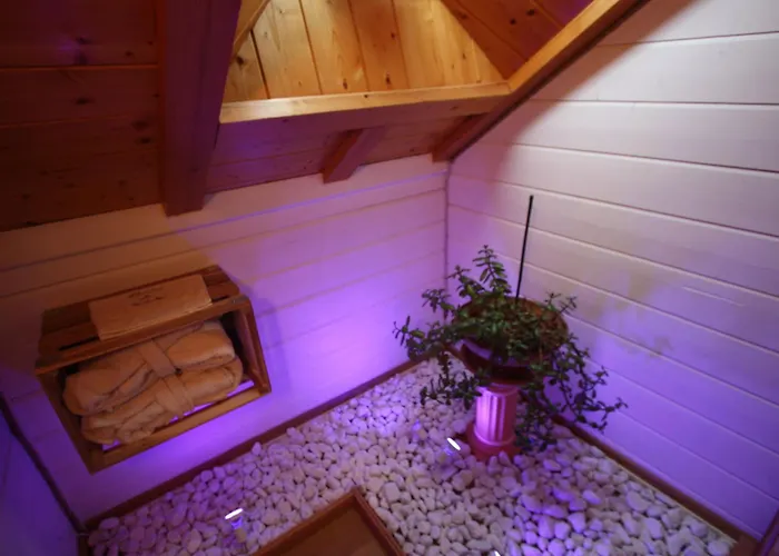 Prázdninový dům Montagne Avec Spa, Sauna & Proche Pistes - - Fr-1-589-114 Gérardmer